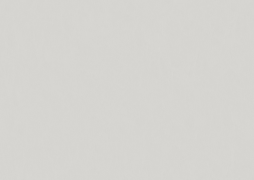 A508